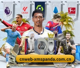 cnweb-xmspanda.com.cn APP 界面
